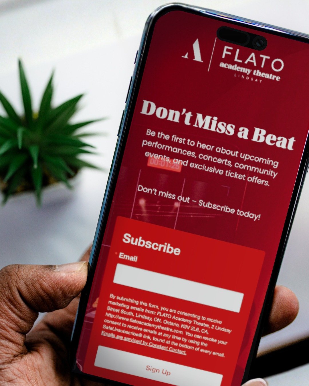 🎭 Are you subscribed?

Be the first to hear about new shows, exclusive presales, special offers, and behind-the-scenes updates&mdash;all delivered straight to your inbox. Join our mailing list today and never miss a moment! ✨📬

To sign up, visit ou
