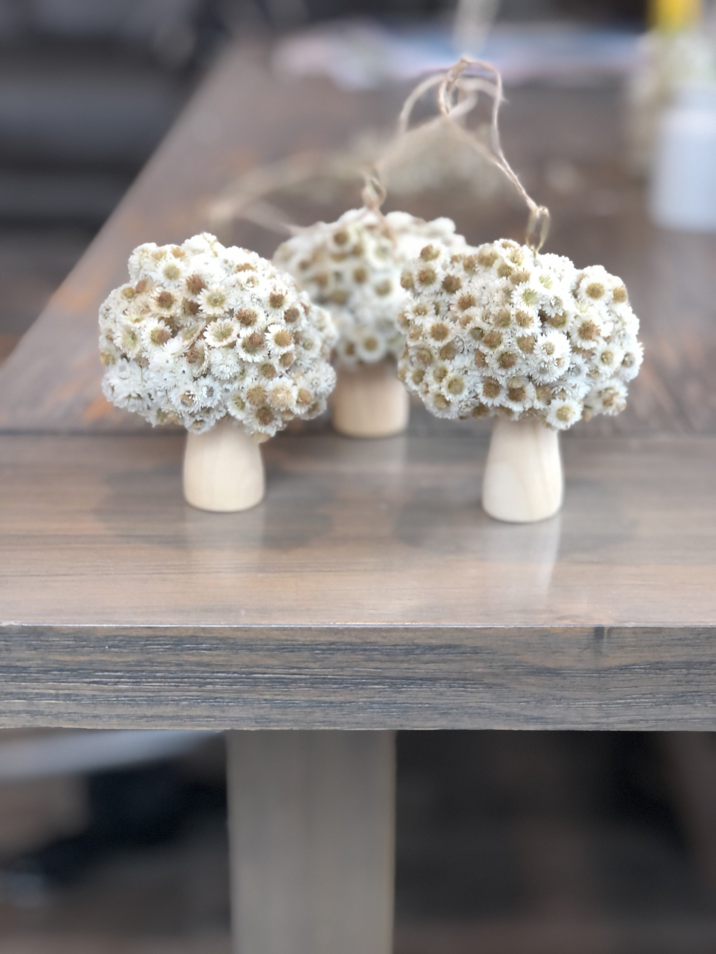 Hanging Floral Mushroom
