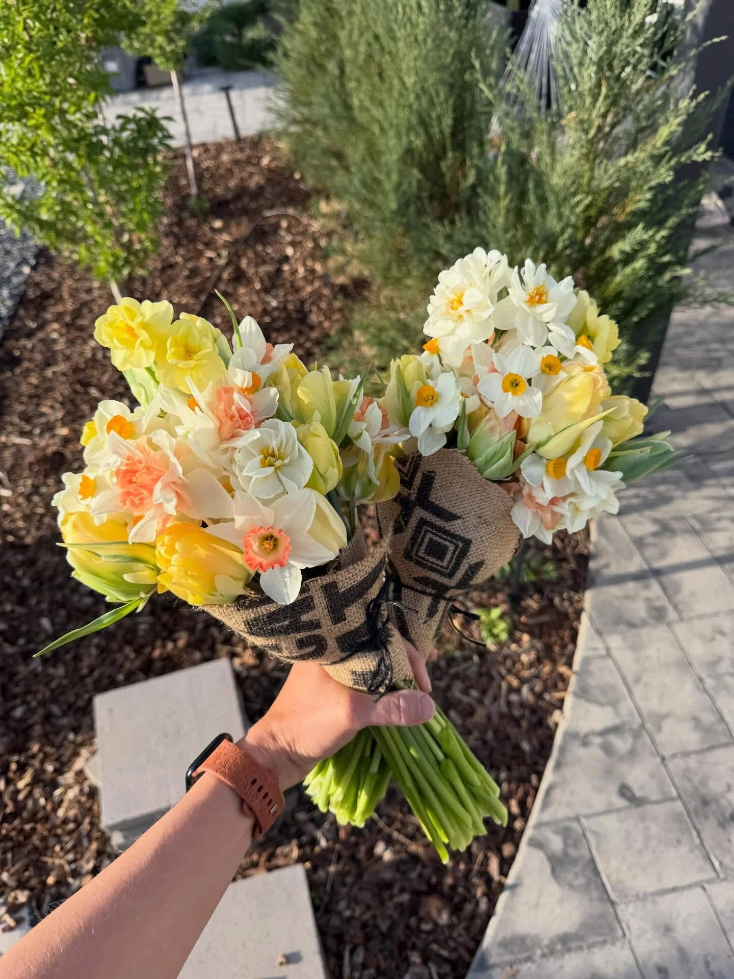 Bits from last week. Cut flowers, volunteer plants, flowering crabapples and creeping plants filling in. Not pictured: plenty of weeds 🫠