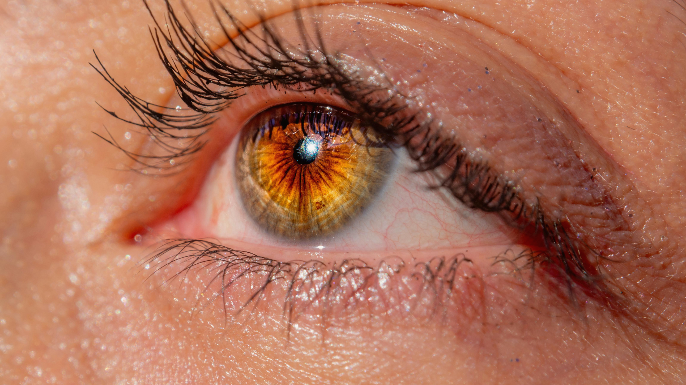 What to Expect From EMDR Therapy in Chicago