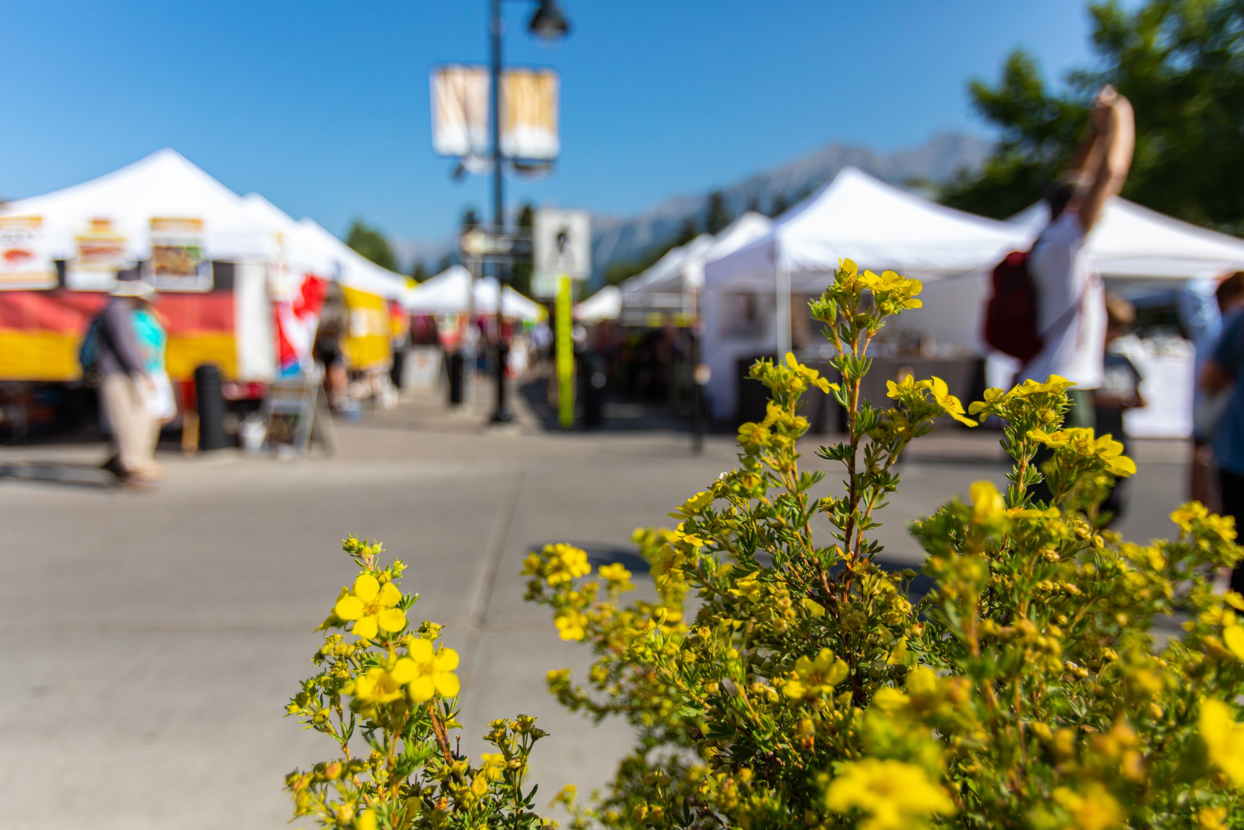 AdobeStock_309642030.jpeg