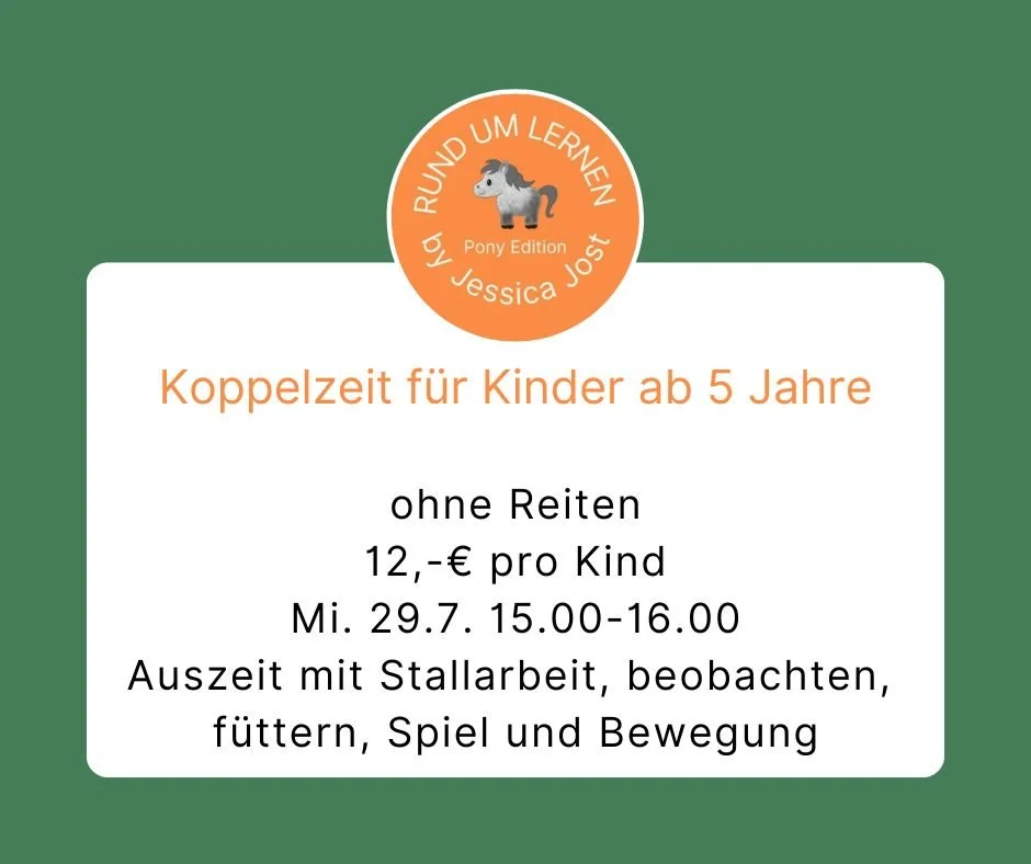 eine Auszeit an der Koppel mit Stallarbeit, Pferde beobachten und füttern, Spiel und Bewegung, aber ohne Reiten. 