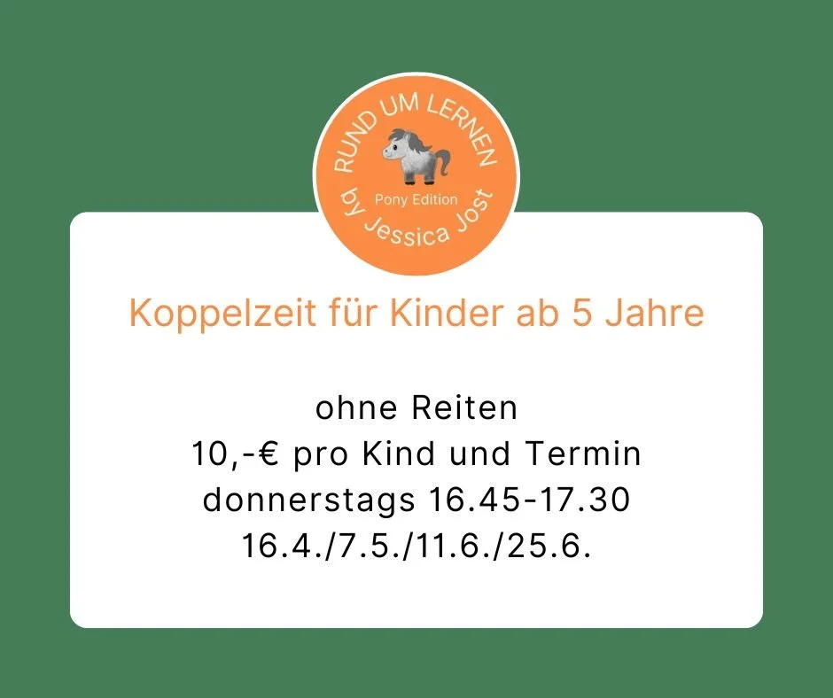 eine Auszeit an der Koppel mit Stallarbeit, Pferde beobachten und füttern, Spiel und Bewegung, aber ohne Reiten. Die Termine können einzeln gebucht werden. Für die sofortige Buchung aller Termine gibt es 5% Rabatt. 
