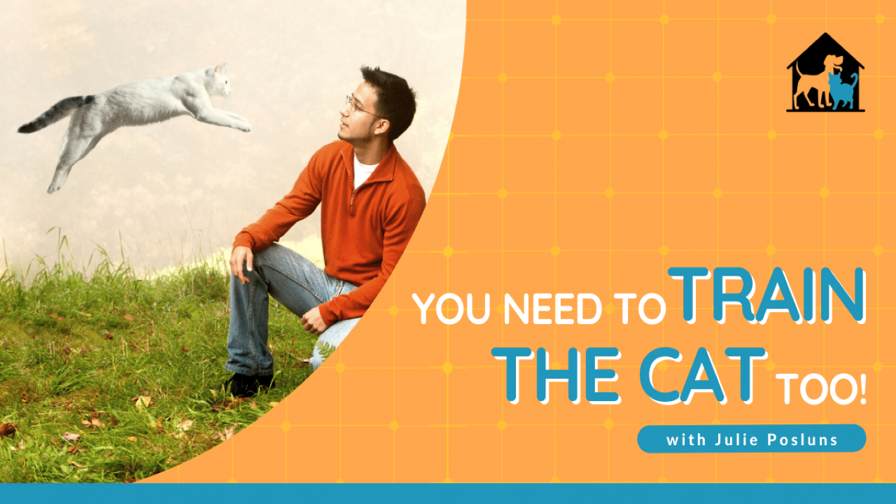You Need to Train the Cat, Too! - with Julie Posluns