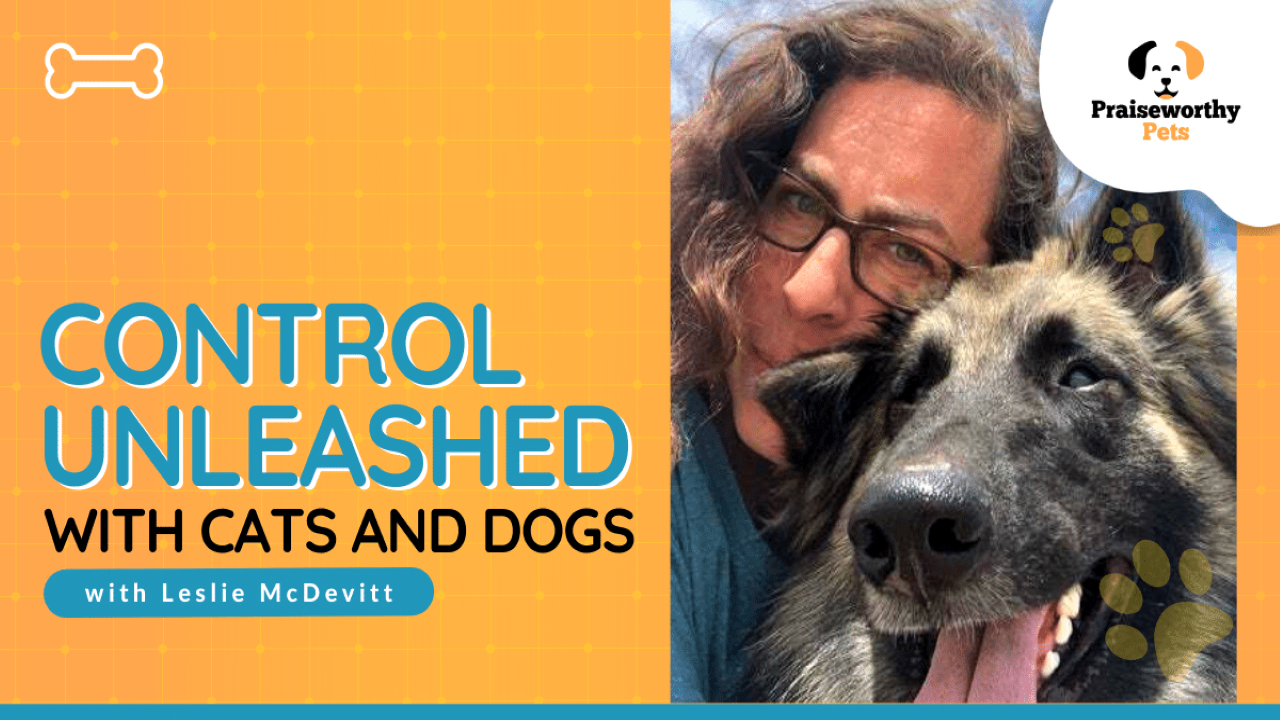 Control Unleashed with Cats and Dogs - with Leslie McDevitt