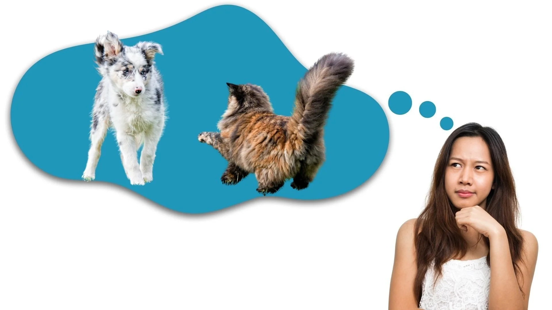 woman thinking about cat and dog fighting