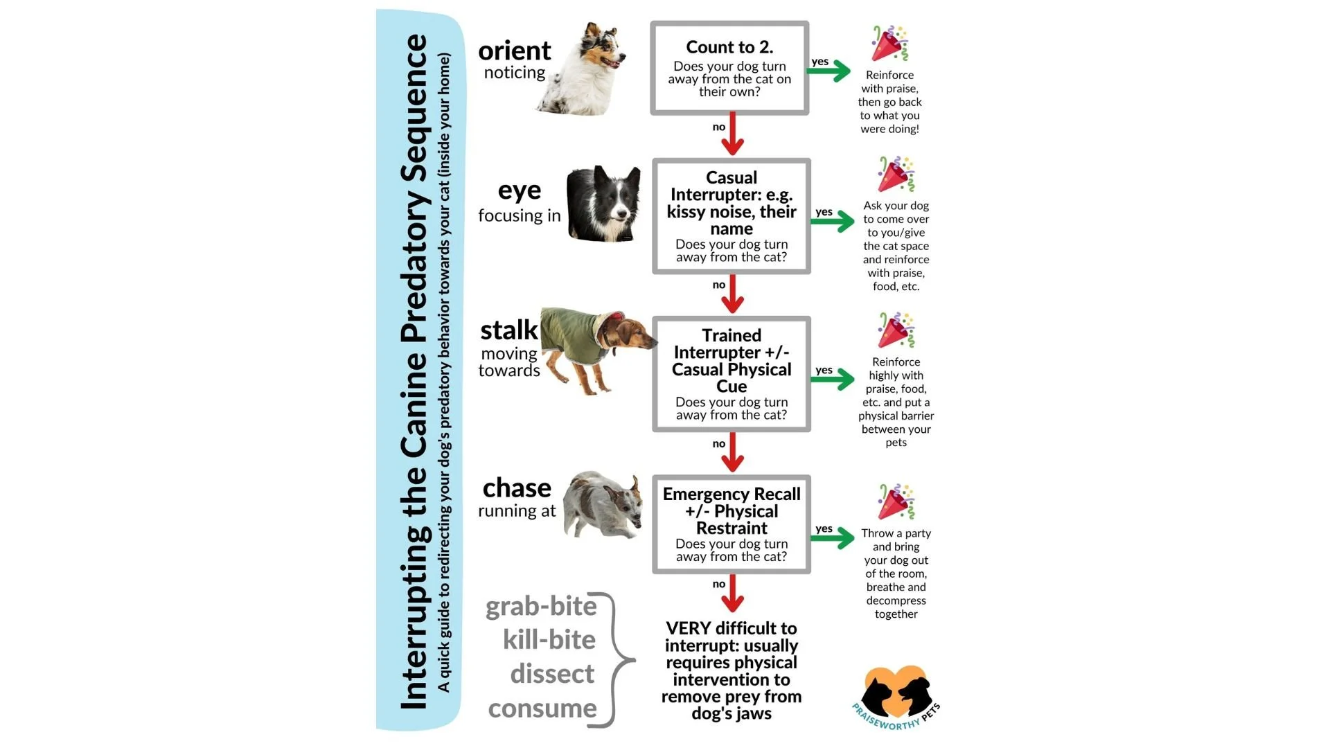 Store: Webinars and Resources