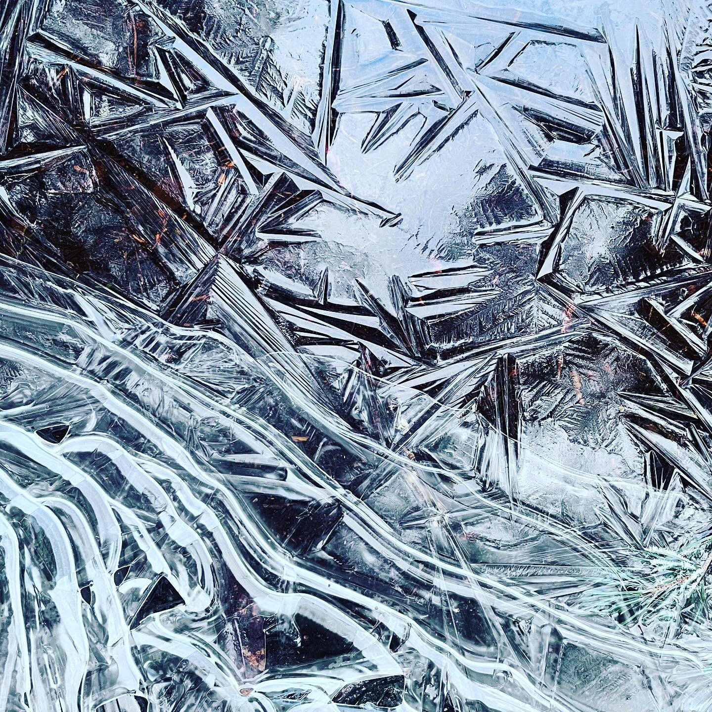 Winter textures. 
.
.
.
.
.
.
#designinspo #frostymornings