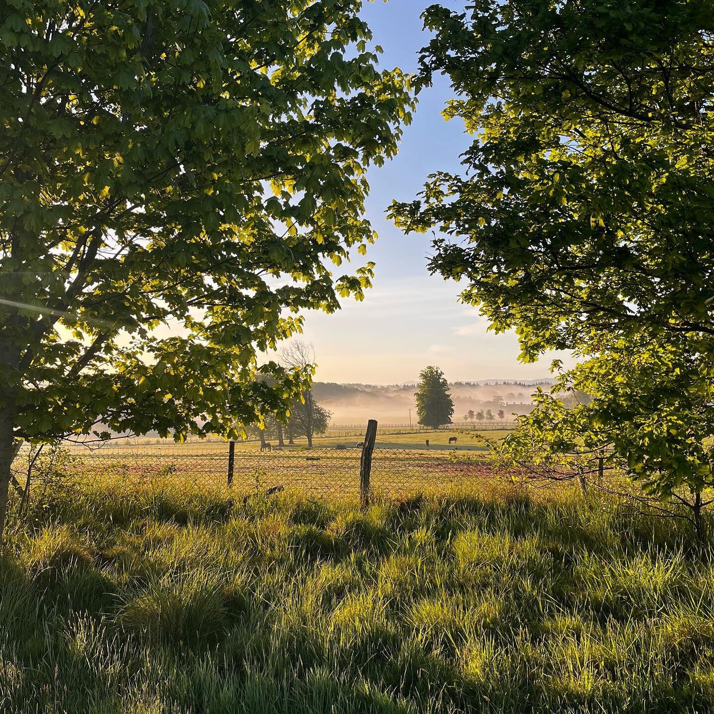 There are some advantages to having to walk the dogs at dawn&hellip;.

#countrylife
#earlybird
#southdowns
#may