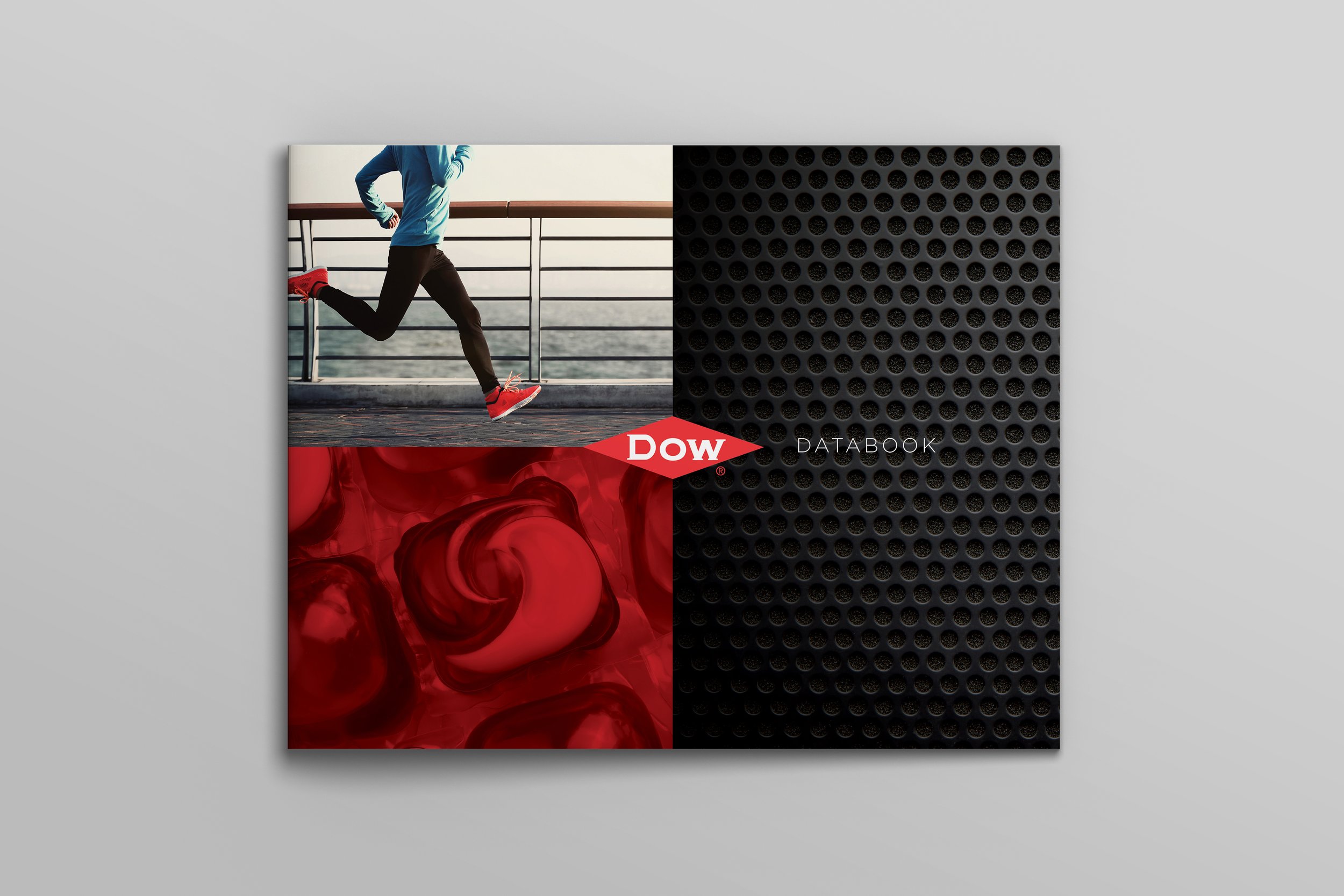 Dow_Databook_Cover_Mockup.jpg