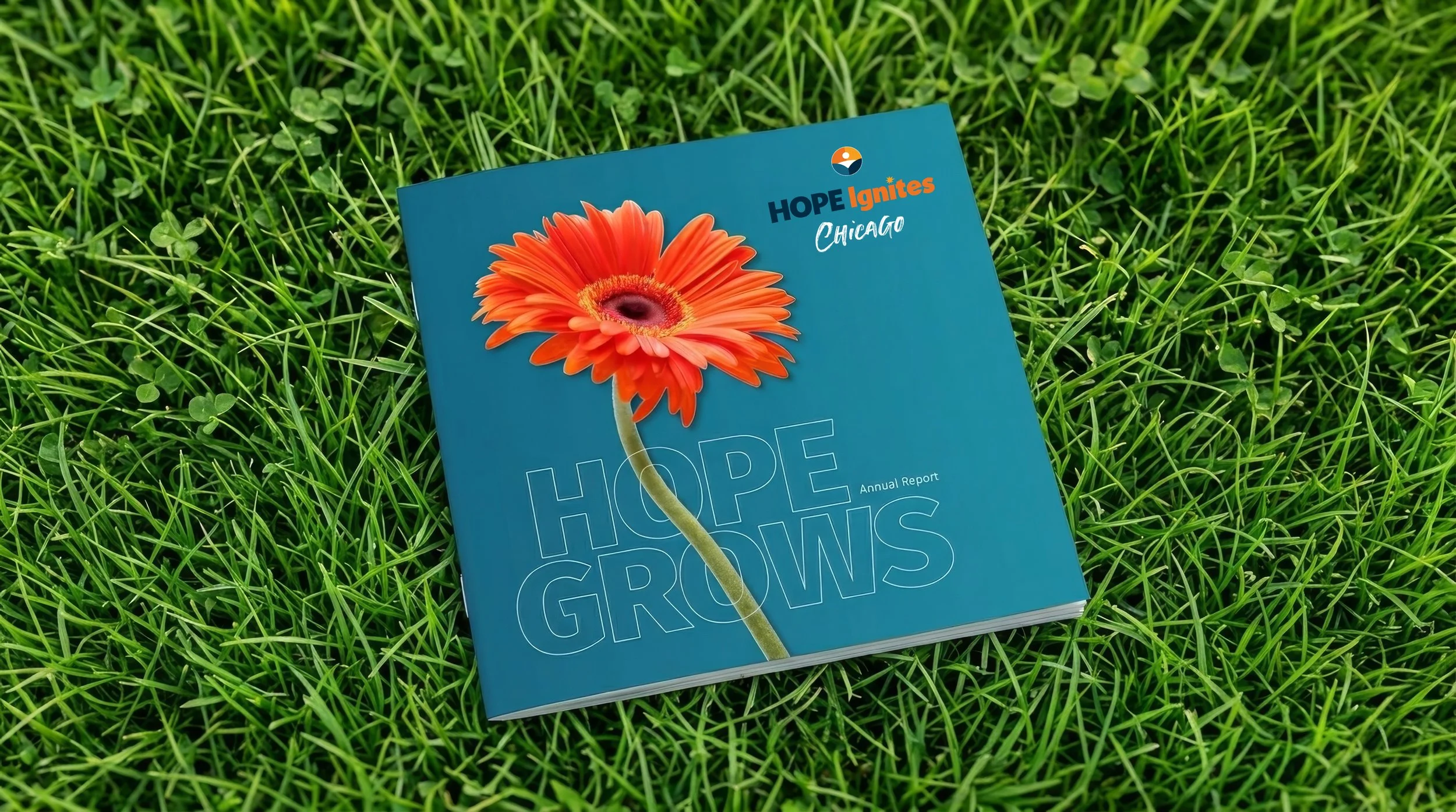 Hope Ignites :  Marketing Materials