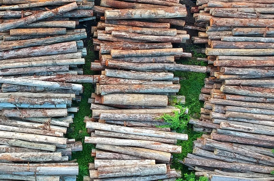 extractive.jpg