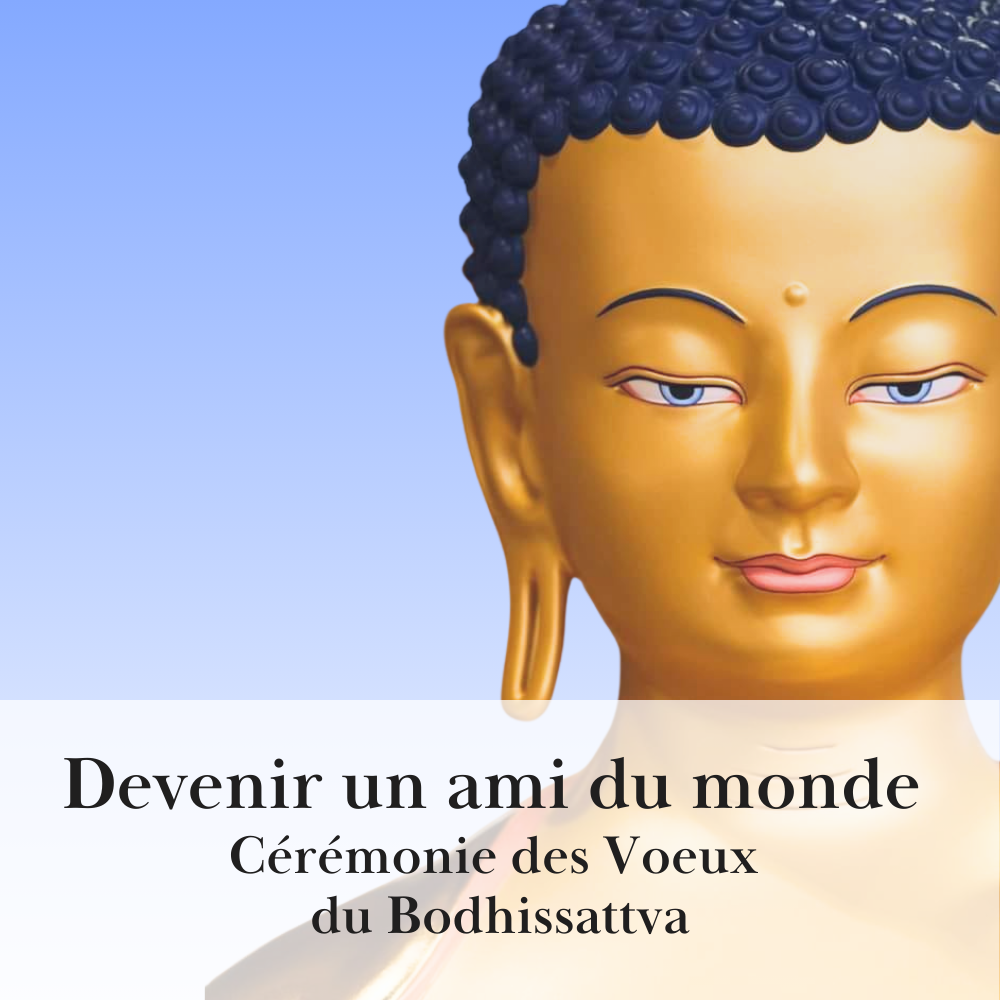 Cérémonie des voeux du bodhisattva • Devenir un ami du monde