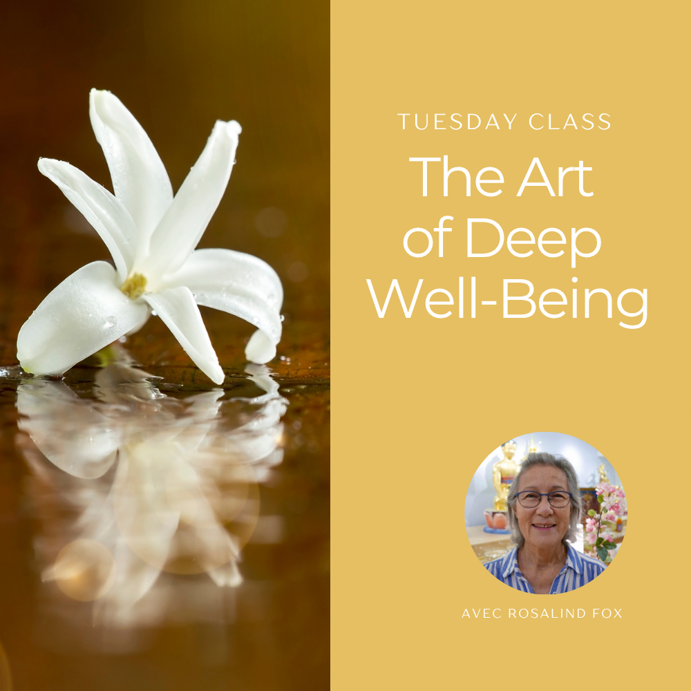 Tuesday night class • The Art of Deep Well-Being