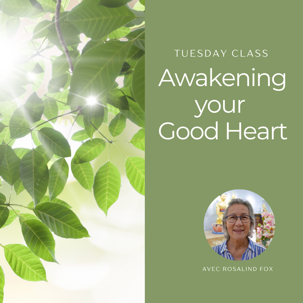 Tuesday night class • Awakening your Good Heart