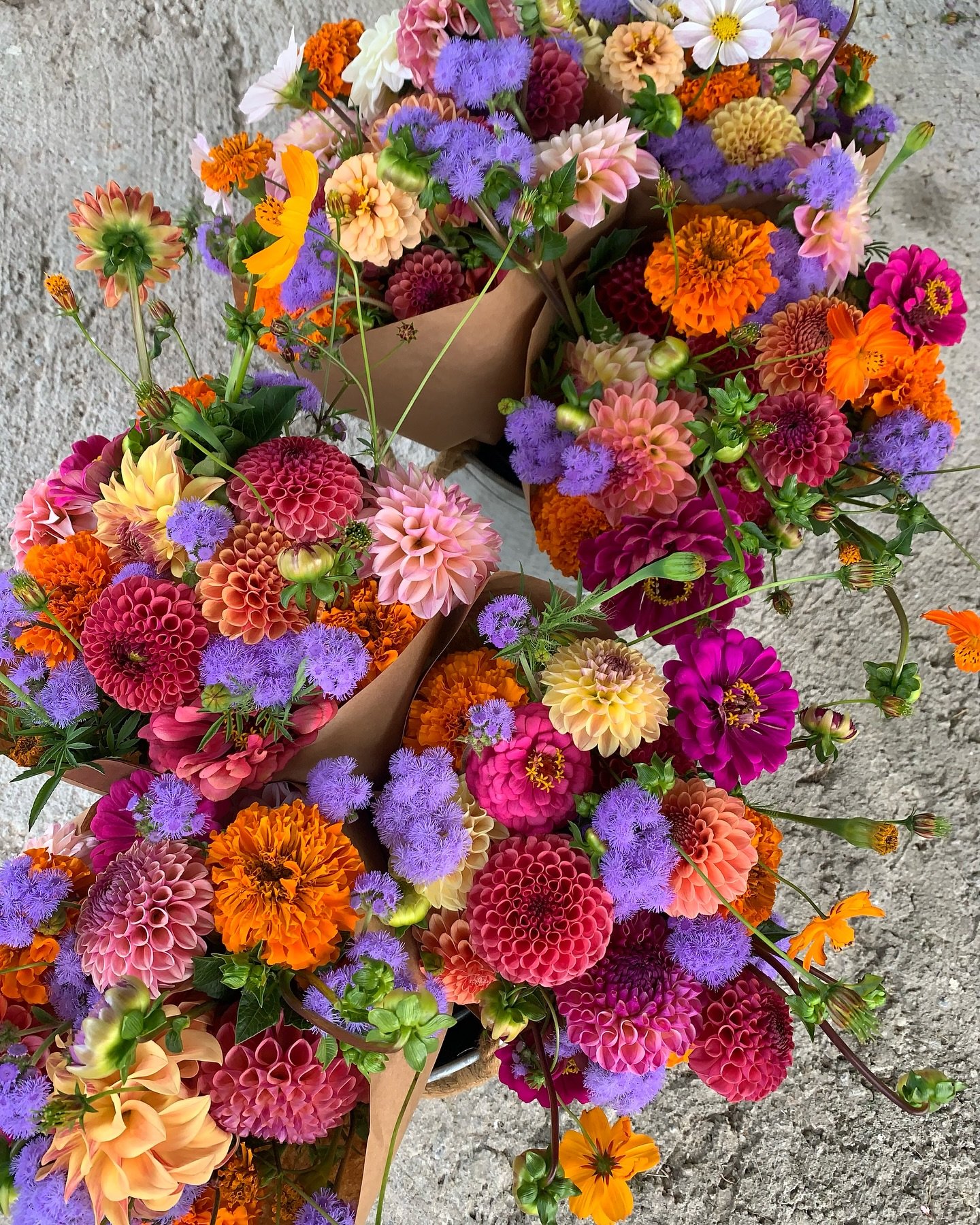 Mixed bunches in the coop for $25! Venmo and PayPal @sterlingstems or cash all work!
