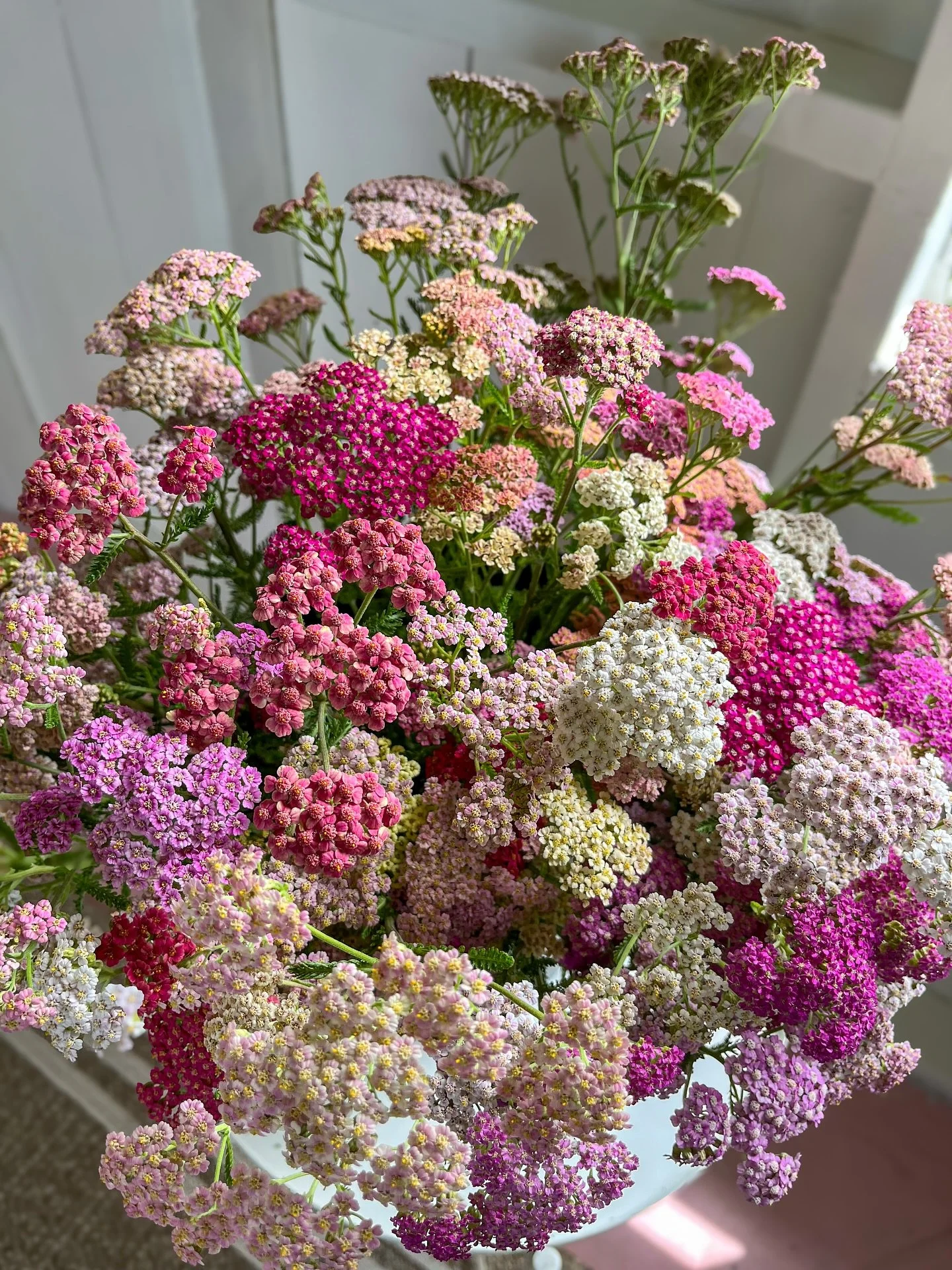 So many ups and downs so far this year. Just when I think I have a grasp on things, I&rsquo;m reminded that no amount of planning and prepping will ever mitigate the unexpected things in life that throw us off track. I&rsquo;m so far behind right now