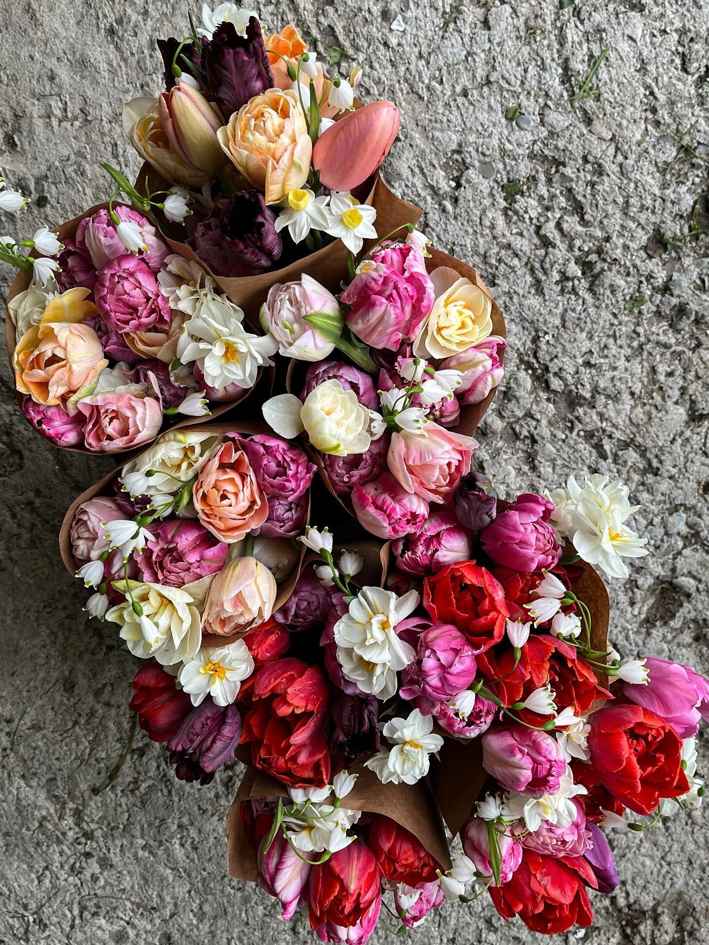 These bouquets are just too pretty to not have a spot on the grid. The red tulips were supposed to be orange, but I love them with the pinks and purples!  And a couple of varieties are blooming a little short, so these bouqs have extra daffs and spar