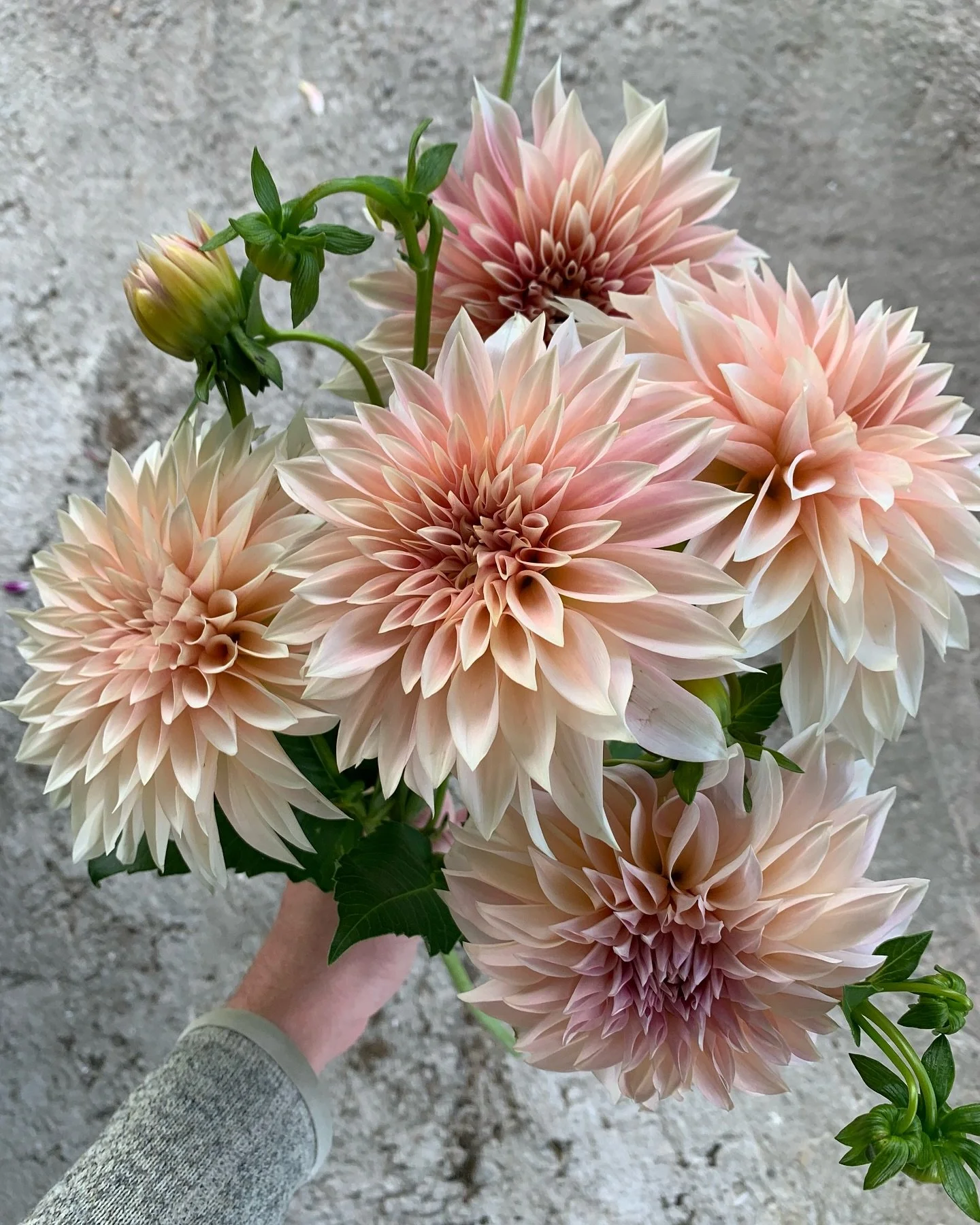 I know it&rsquo;s only April but&hellip;the heart wants what it wants, right?