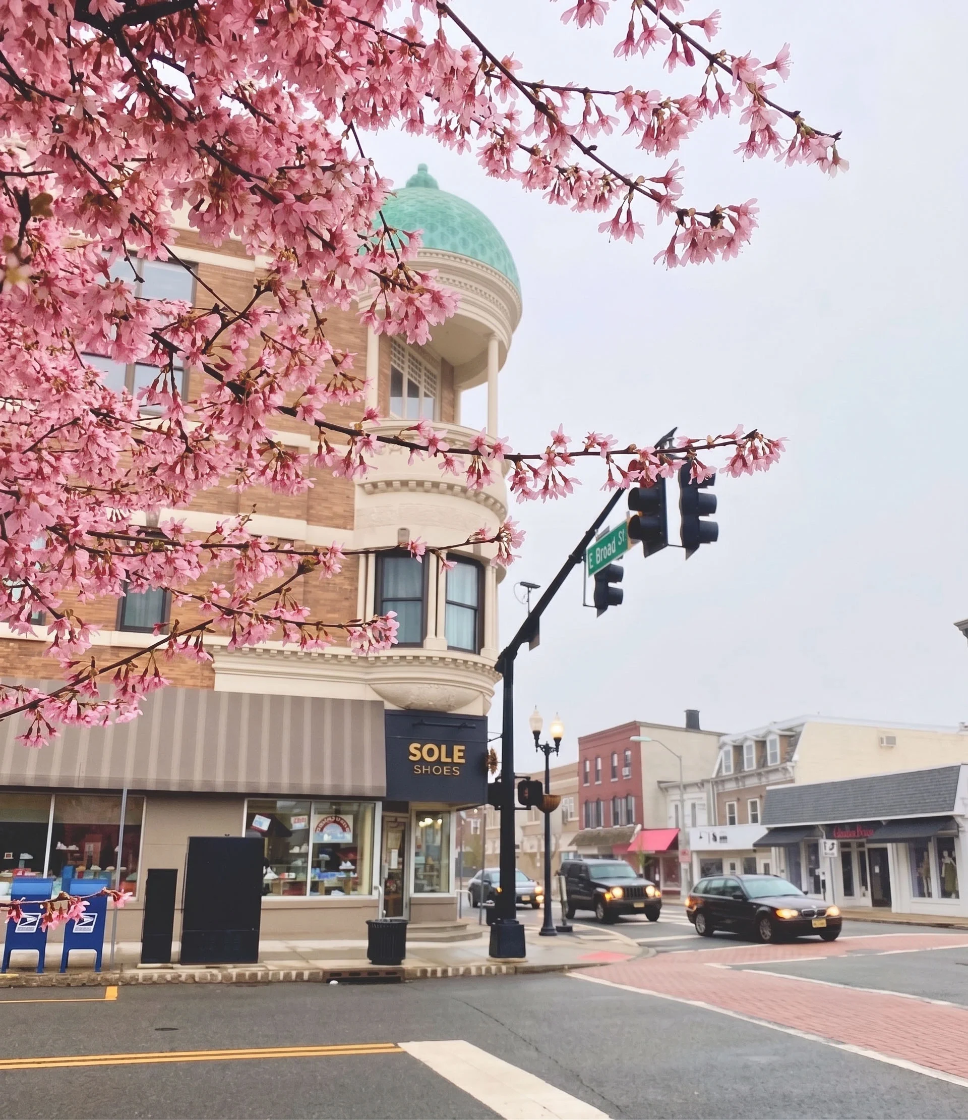 Street scene with pink blooming cherry blossom branches in the foreground, storefront buildings in the background, and a traffic light with cars passing by, on E Broad Street in an urban area.