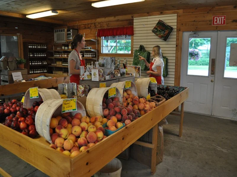 General 4 — Hand Melon Farm