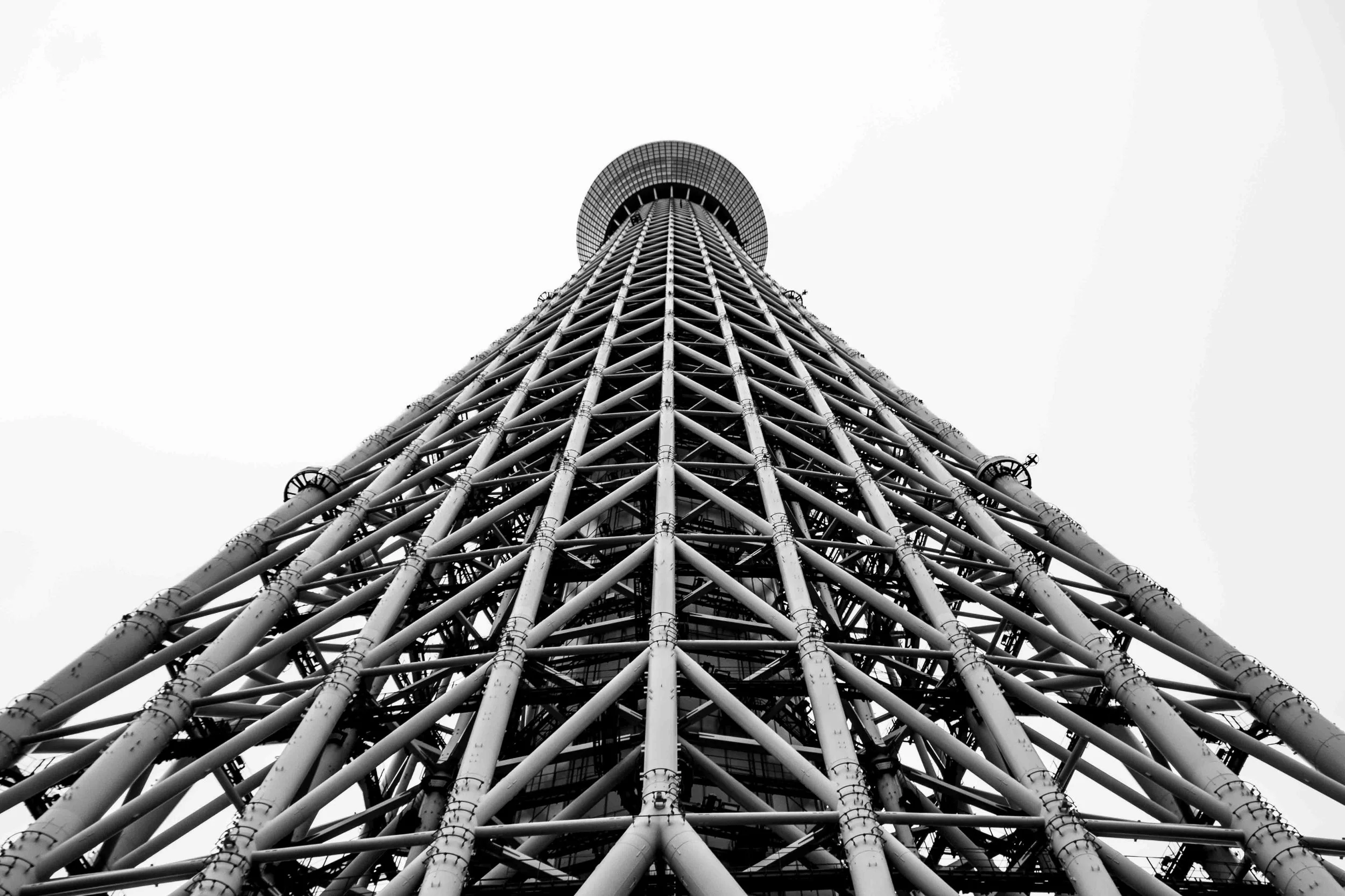 LaManchaWebsite-125.jpg