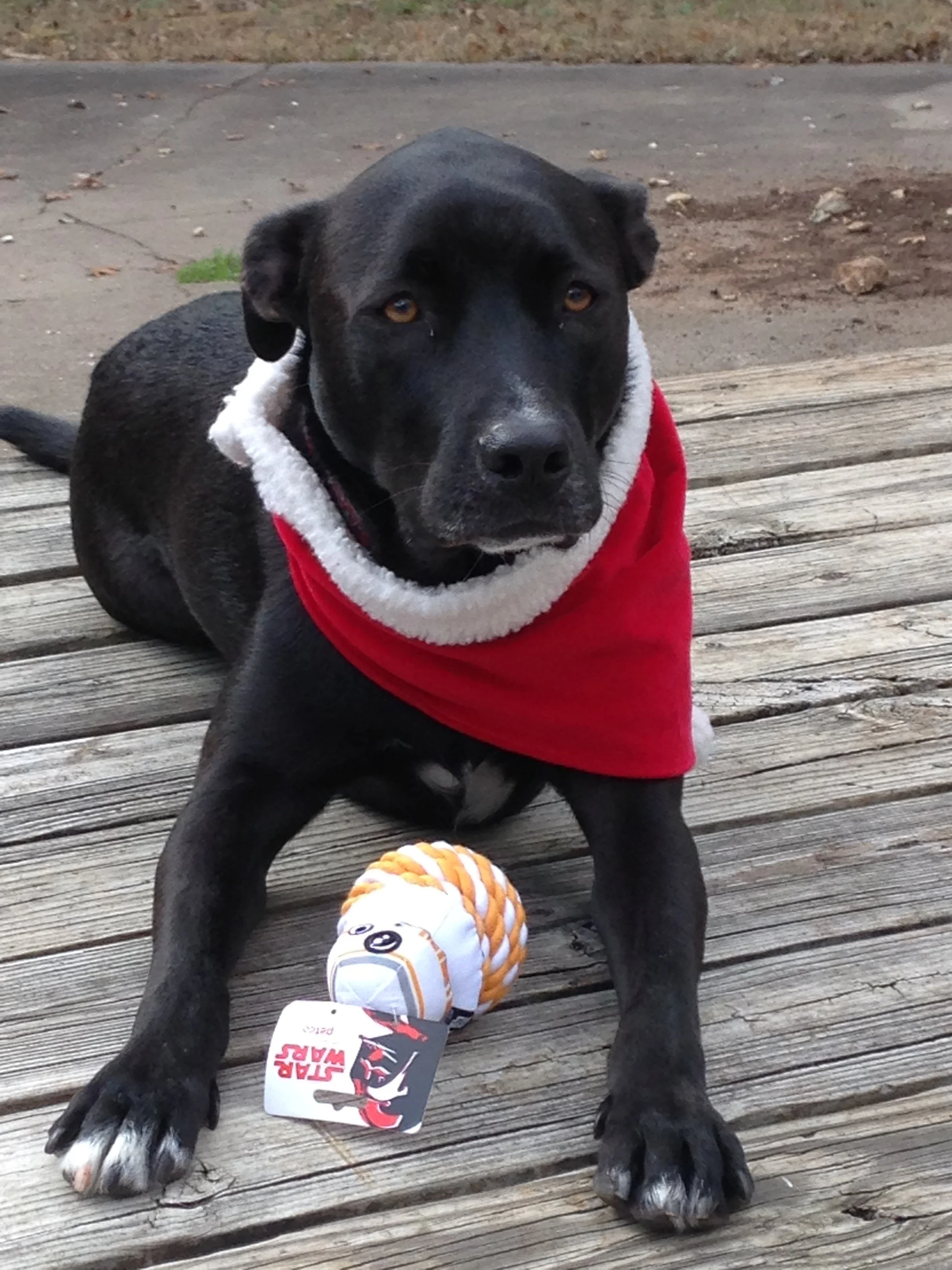IMG_3816.jpeg