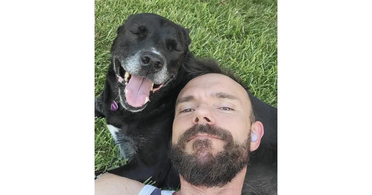 Annie’s story: How a wild stray became the queen of my heart