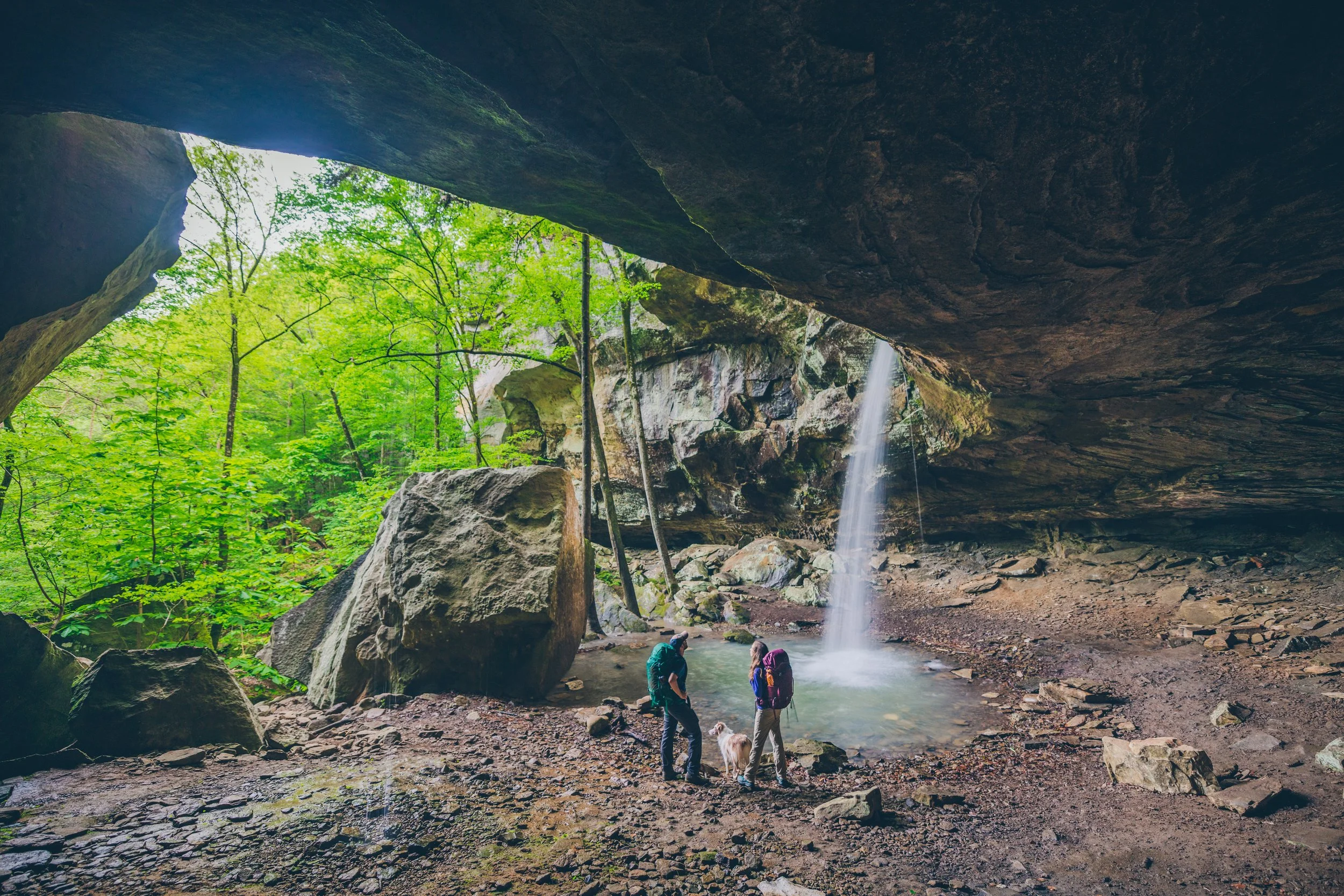 A group of people with backpacks and dogs exploring a large cave with a waterfall at the back, surrounded by lush green forest.