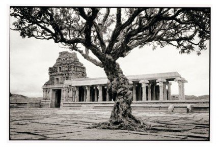 8 Temple and tree in Hampi