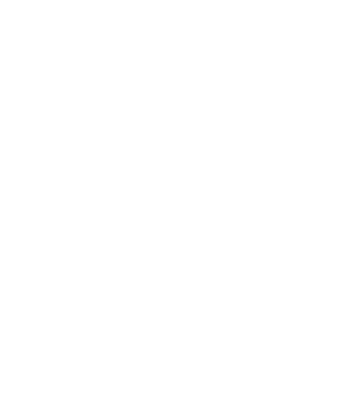 United Nations Student Association Maastricht