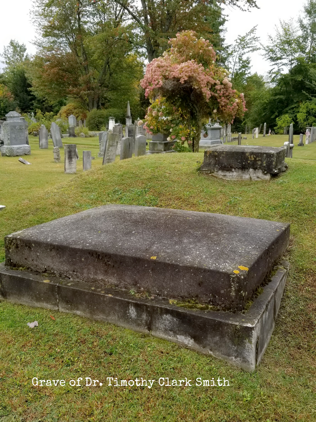 Grave of Dr. Timothy Clark Smith