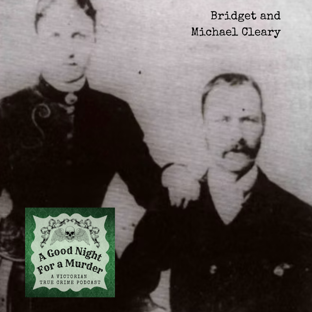 Changeling: The Tragic Tale of Bridget Cleary