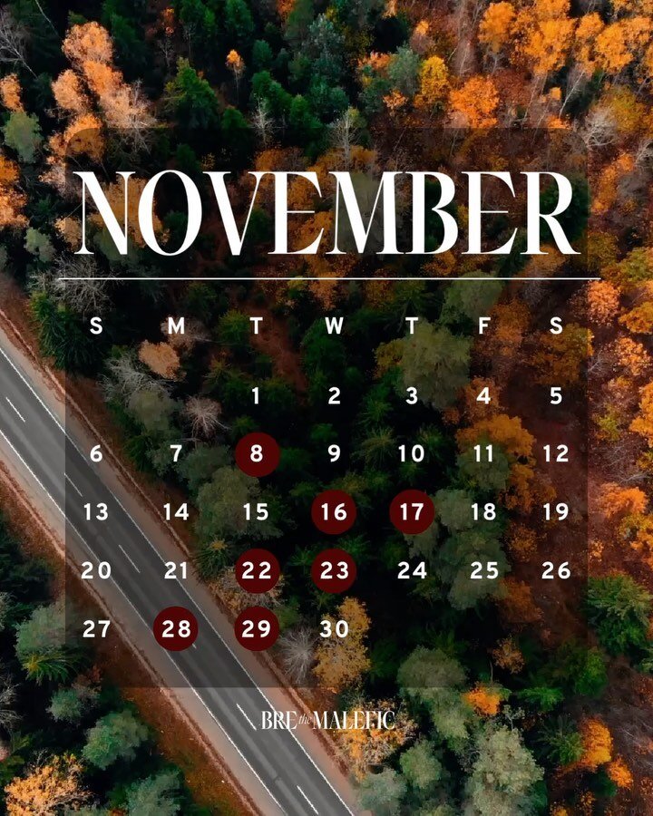 🍁November Astrology🍂

Can you believe it&rsquo;s November already? This month&rsquo;s astrology has a lighter theme that goes perfectly with a slice of pumpkin pie🥧

🍁LAST eclipse of the year on Nov 8th with a Full Moon in Taurus!!
🍂Venus, the p