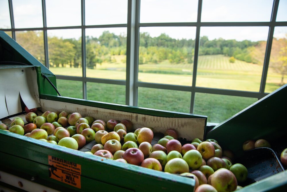 Handcrafted Heritage Hard Cider — Castle Hill Cider