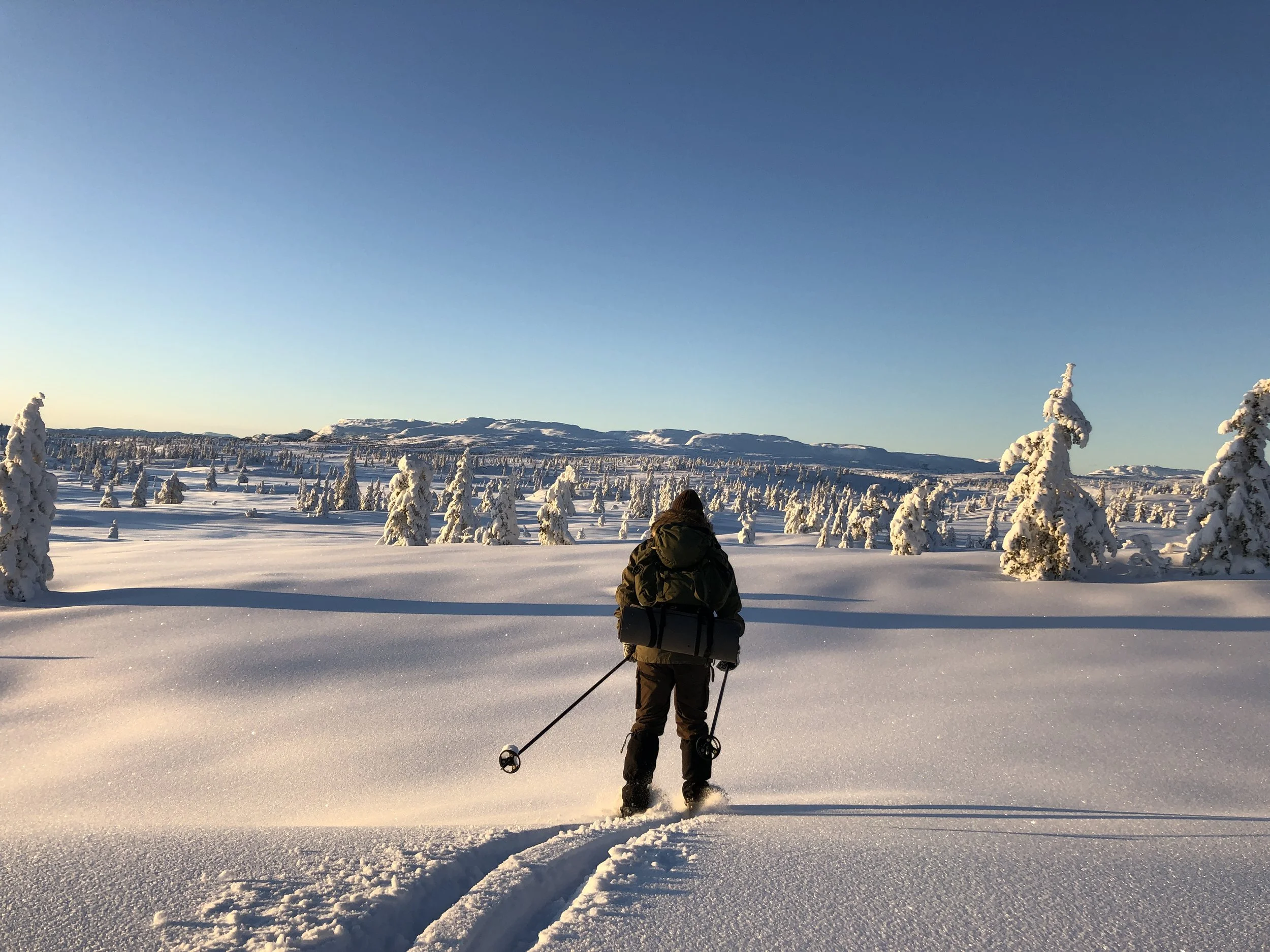 Blefjell, vinter.JPG