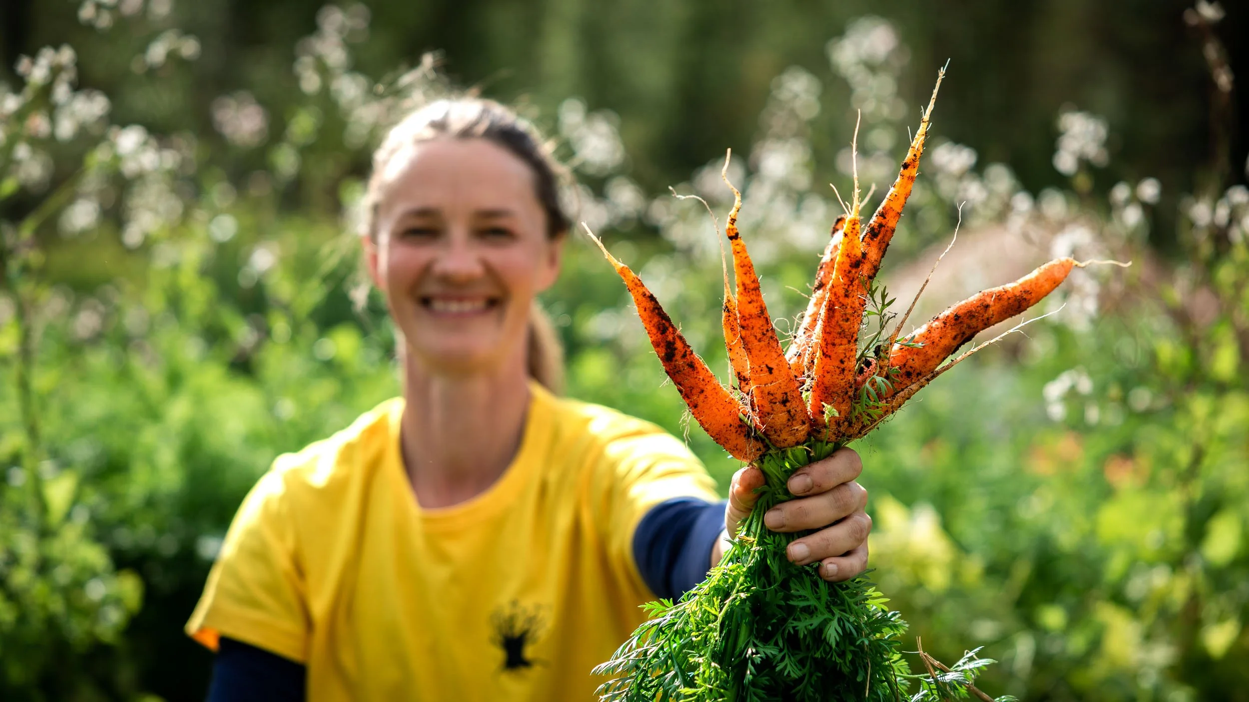 Gårdsvandring - en sirkulær reise