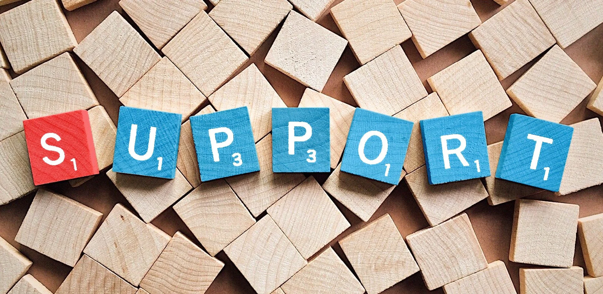 Chapter Support Initiatives