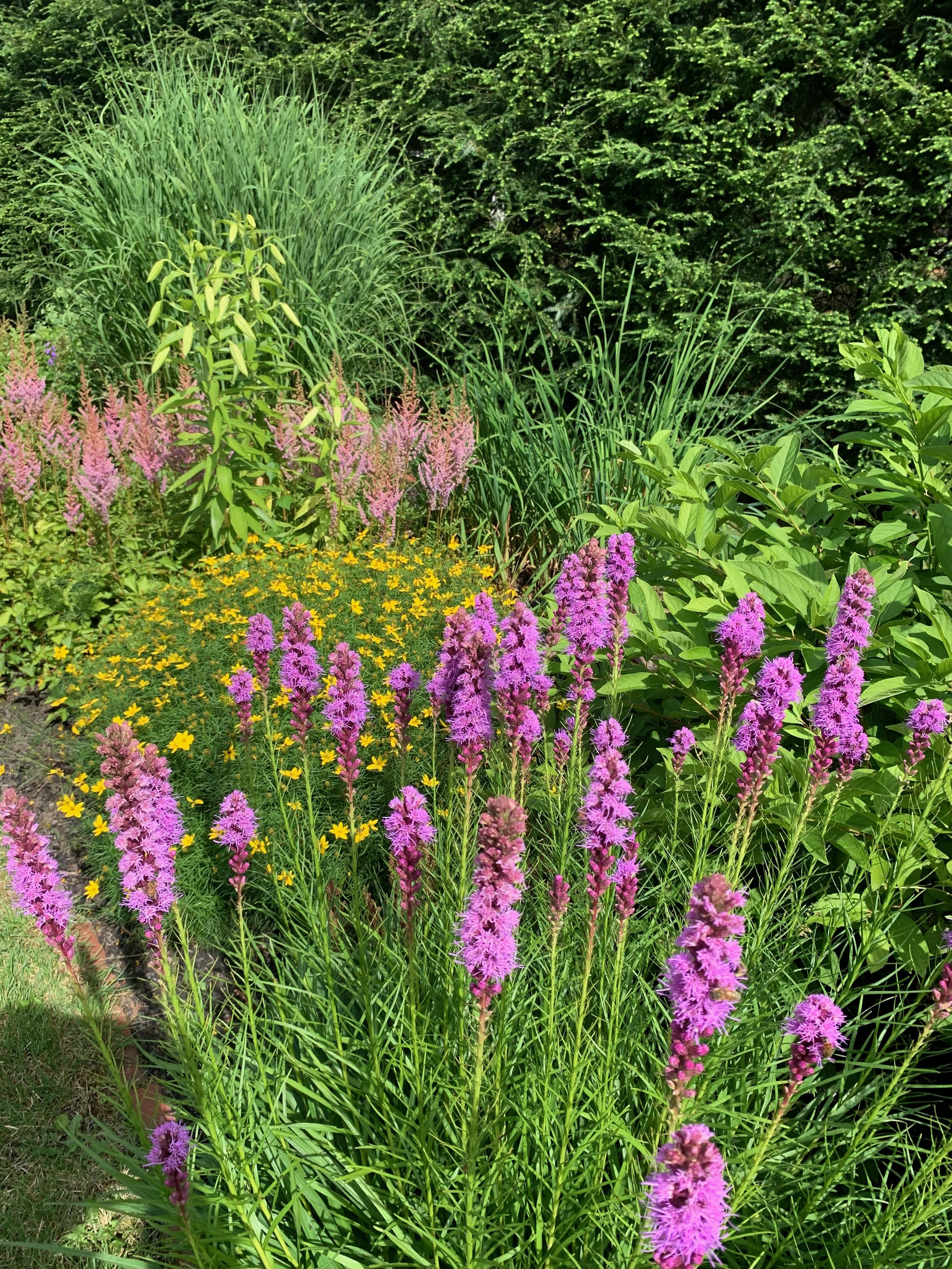 IMG_4671.jpeg