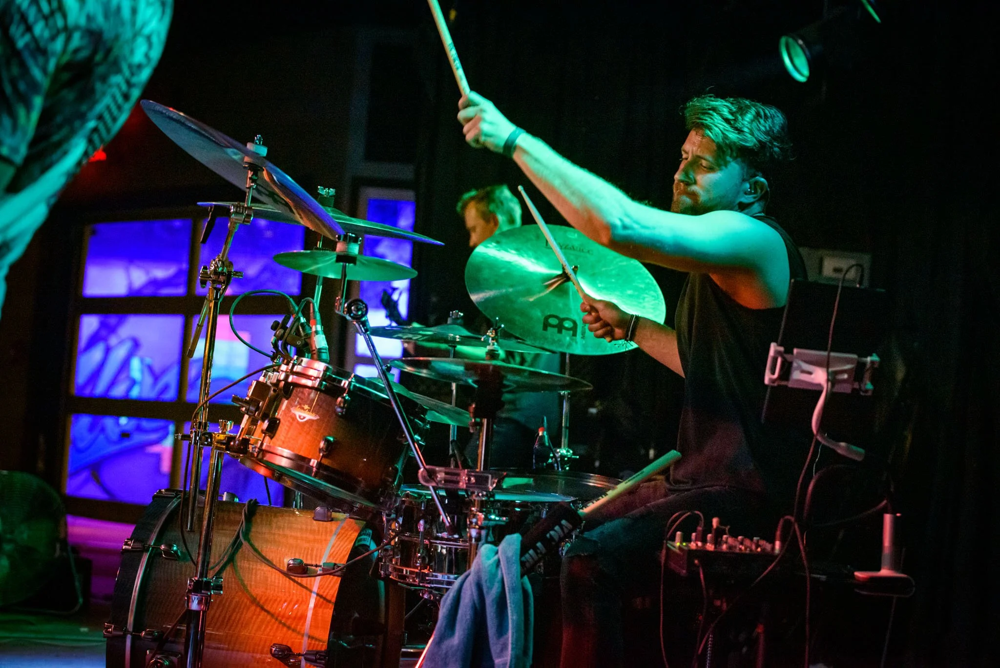 Hoverfly-066 (1).jpg