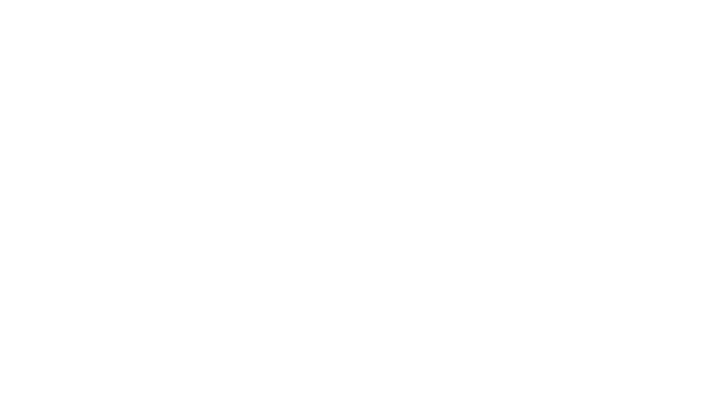 Josh Feyen | Maui Realtor
