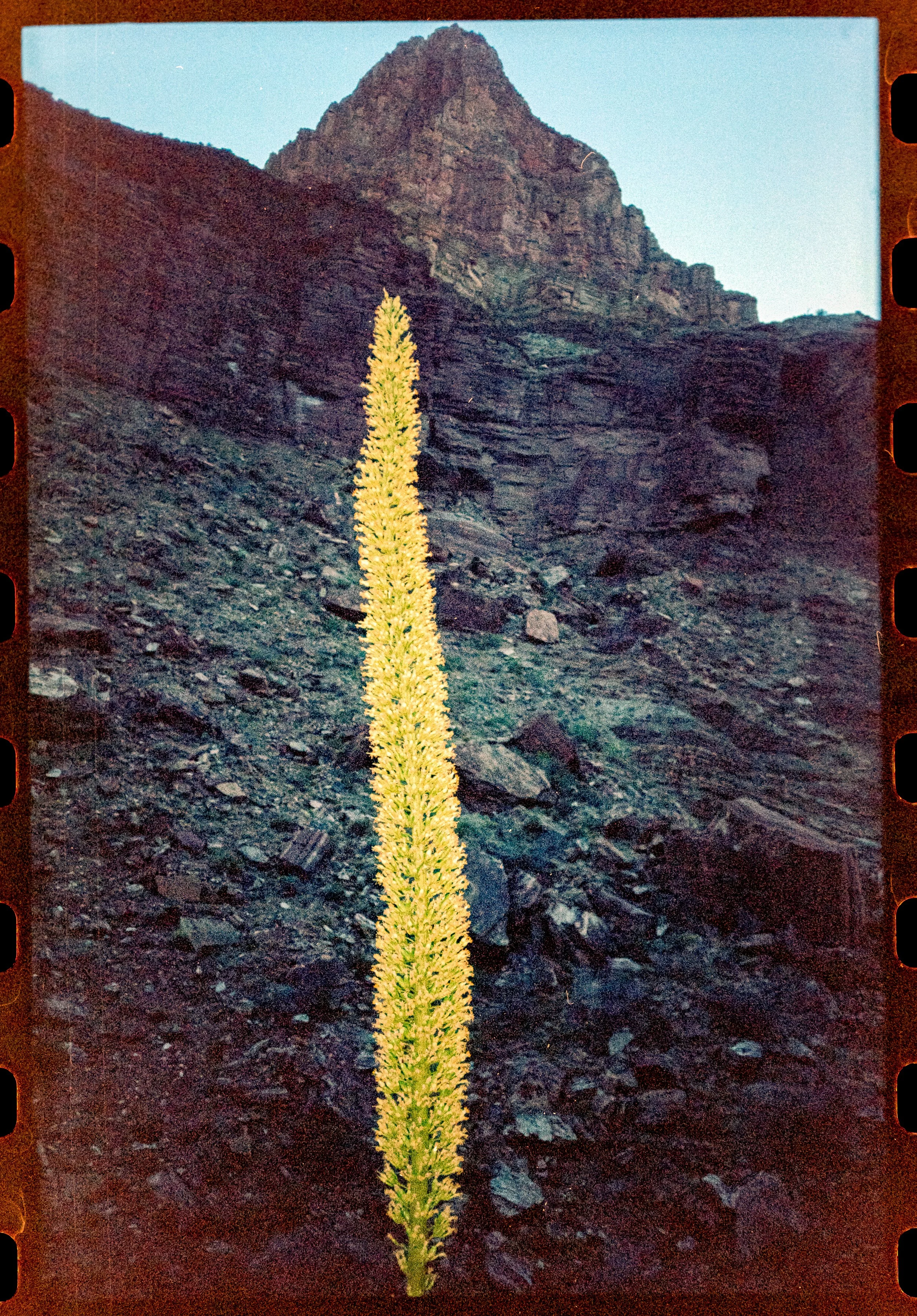5126-23.jpg
