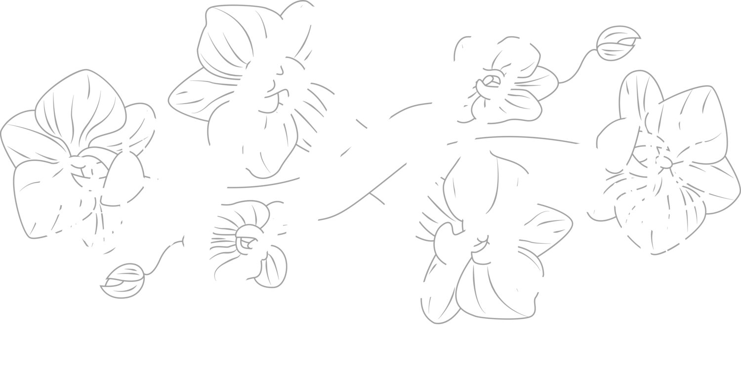 Lovers Lane Birth Center