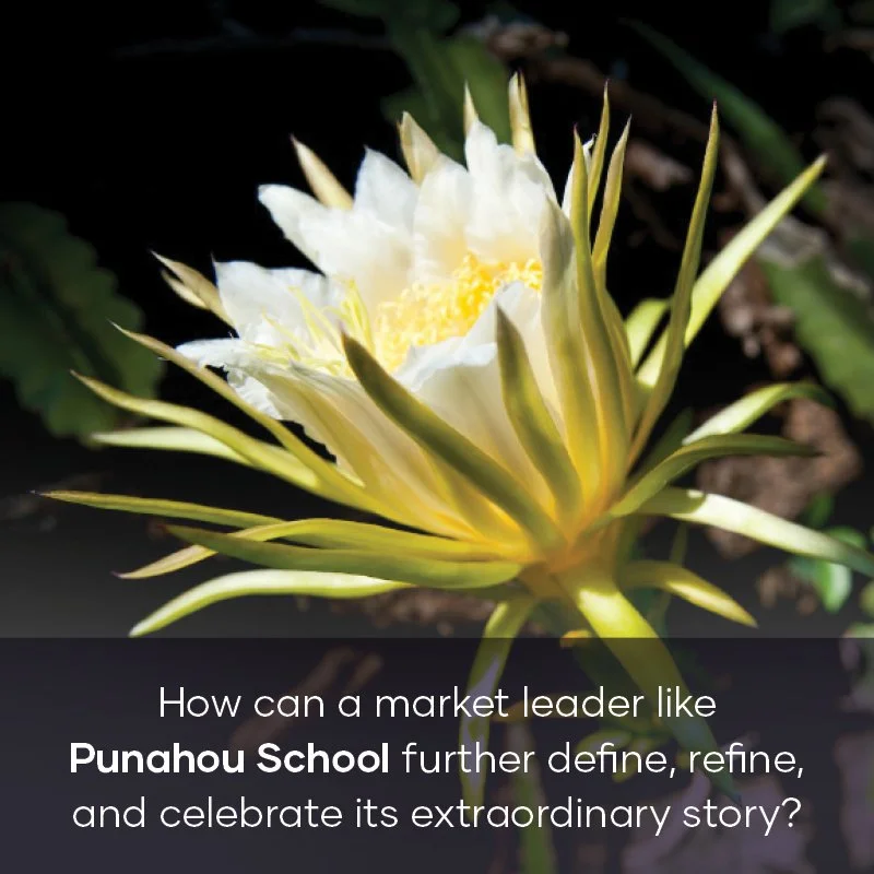 CP portfolio teasers_5.jpg