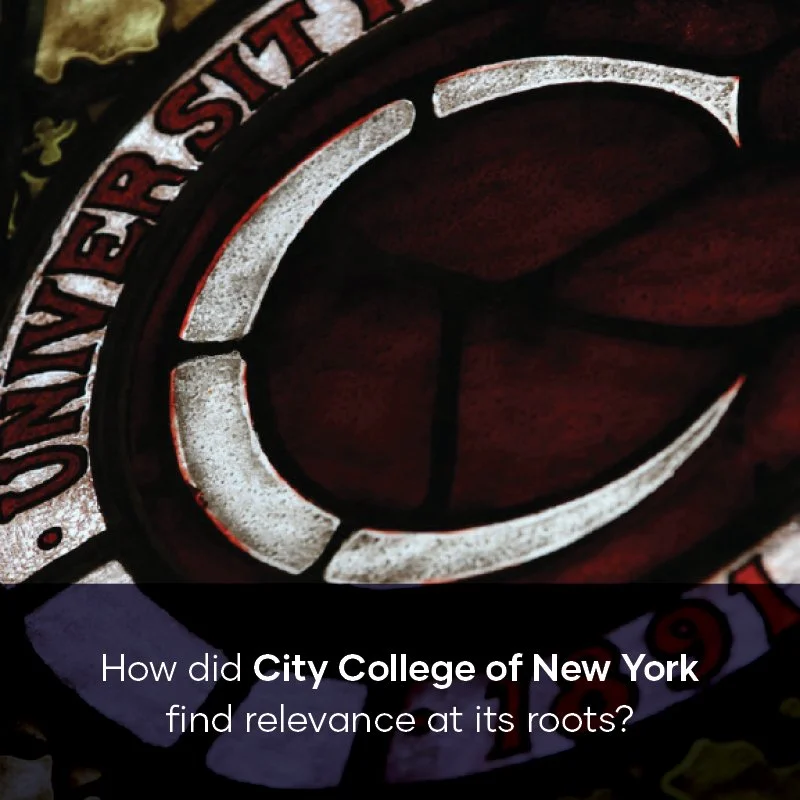 CP portfolio teasers_9.jpg