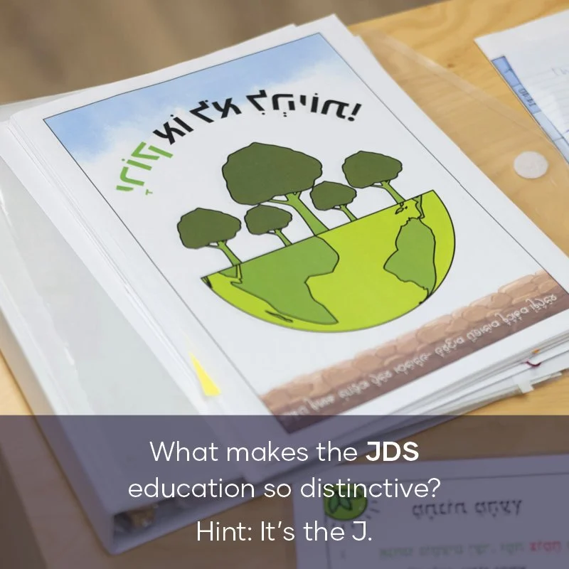 CP portfolio teasers_2.jpg