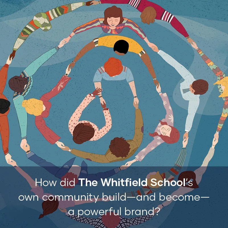 CP portfolio teasers_.jpg