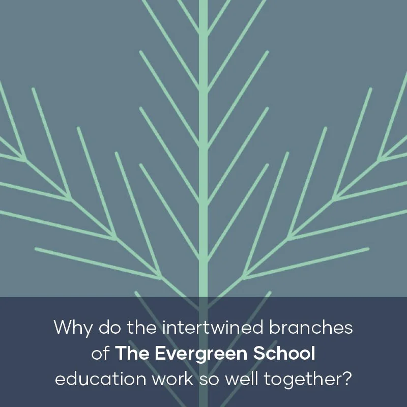 CP portfolio teasers_7.jpg