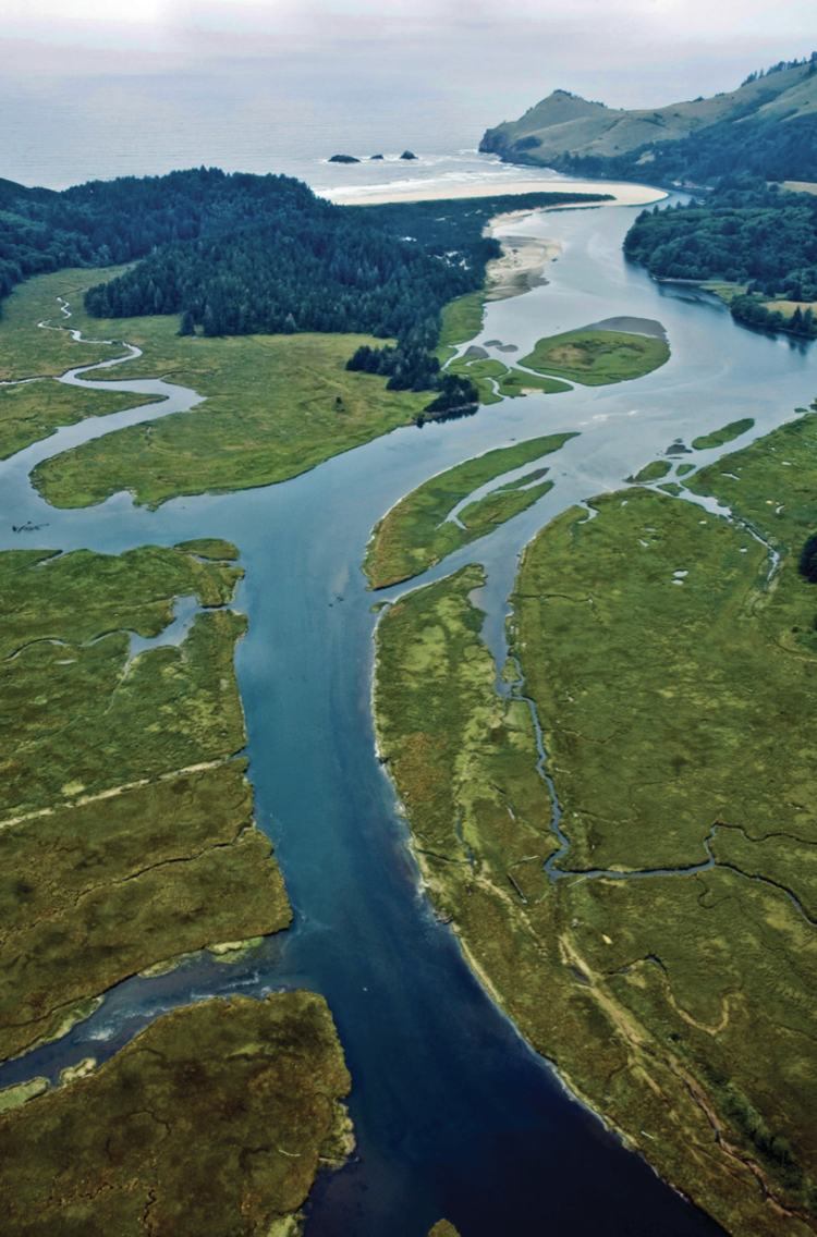 Cascade Head — Oregon Marine Reserves Partnership