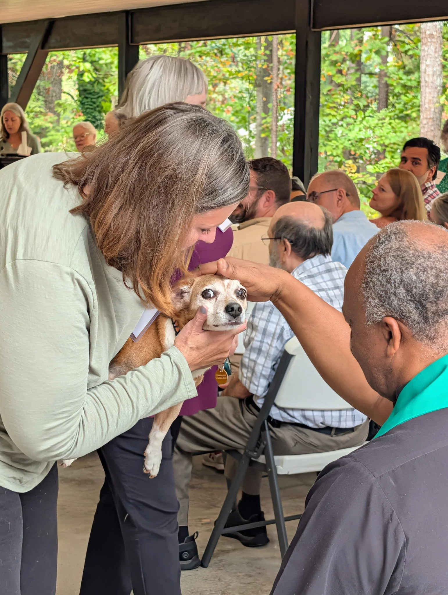St. Francis Day Liturgy / Blessing of the Animals - 10/4/2026